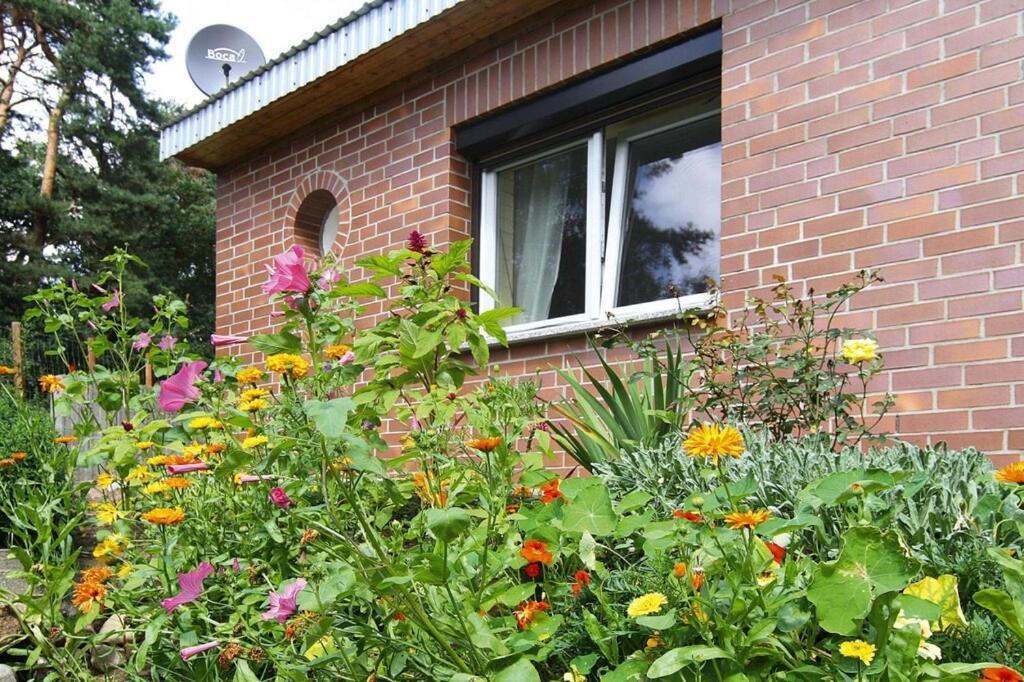 Ferienhaus, Feldberger Seenlandschaft Villa Exteriör bild